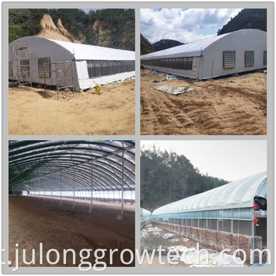 poultry greenhouse